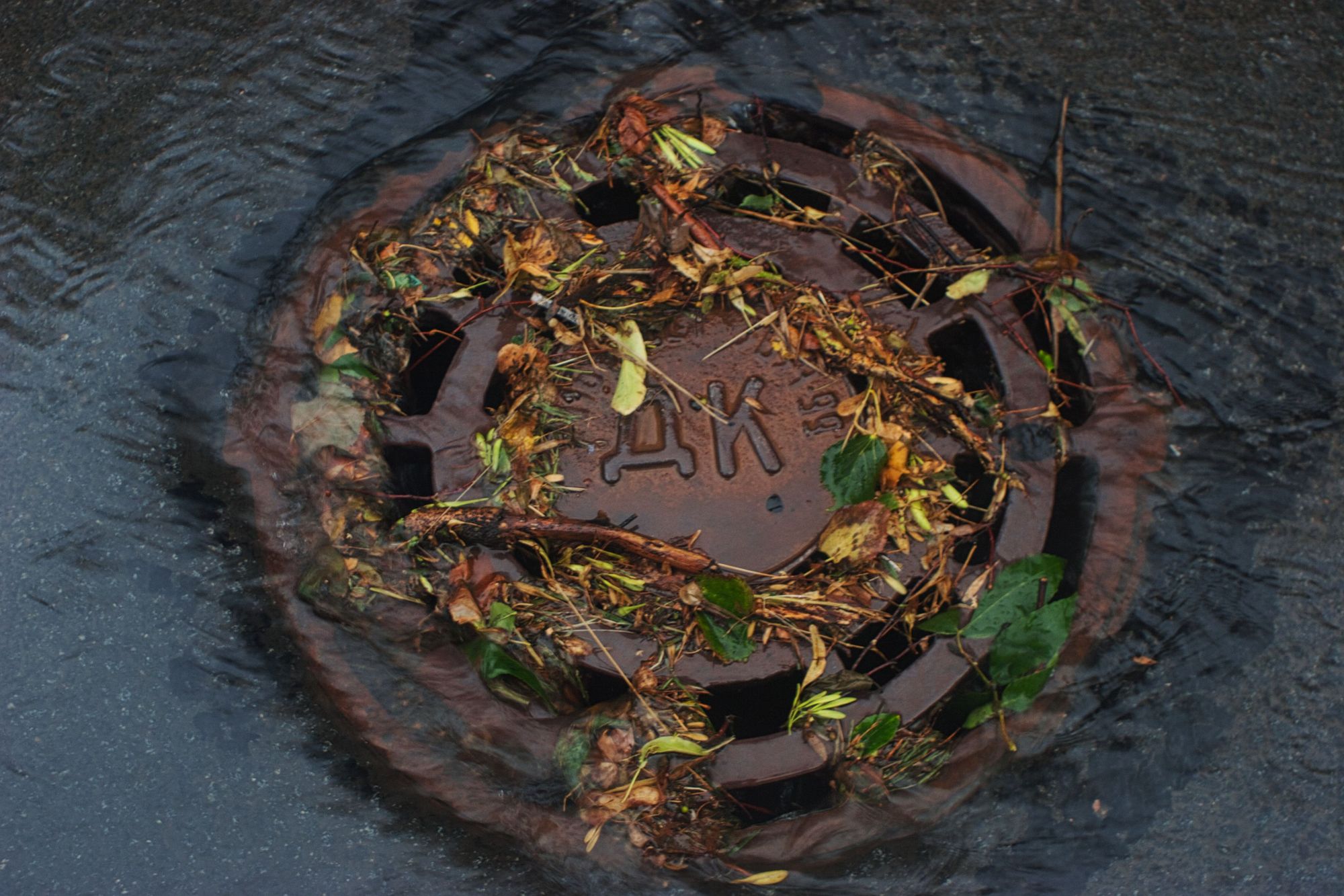 Registro de drenaje pluvial captando agua de lluvia en una calle urbana